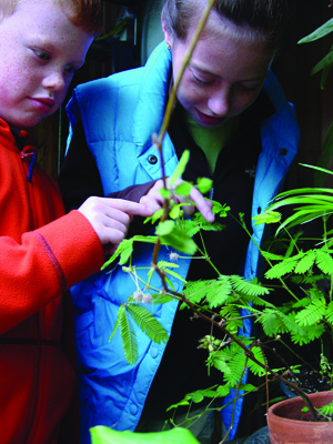 TickleMe Plants<br>A Great Way to Excite Your Children <br>About Nature and Gardening
