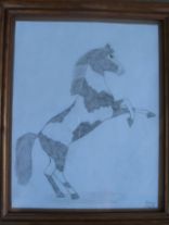 4 h projects