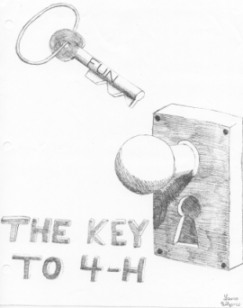4 h projects