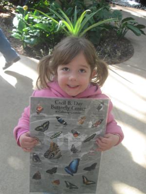 At the Butterfly House in Callaway Gardens