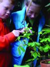 TickleMe Plants<br>A Great Way to Excite Your Children <br>About Nature and Gardening