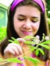 My Niece and Her Pet TickleMe Plant